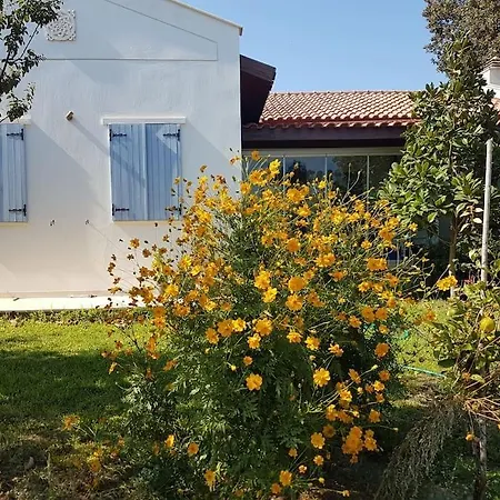 Nar Vila Datça