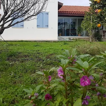 Nar Vila