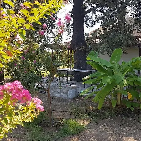 Nar * Datça
