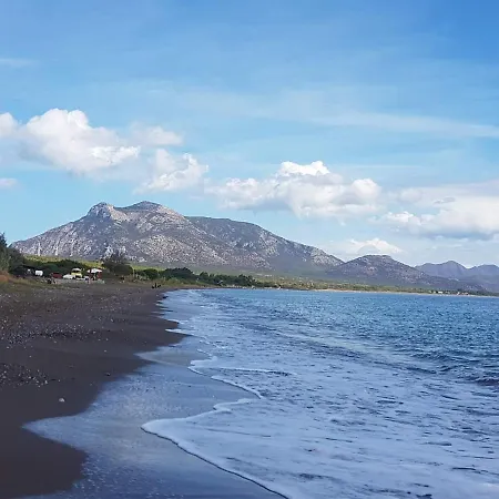 Nar Datça