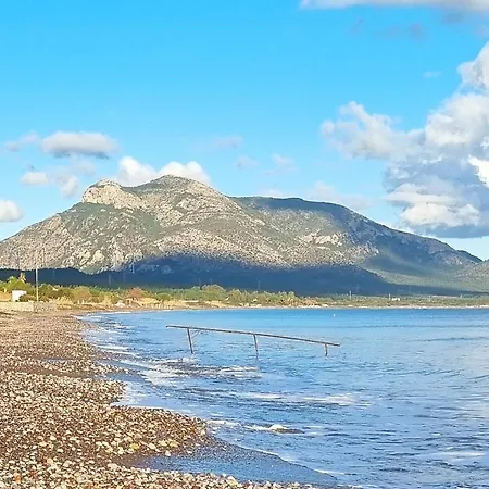 Vila Nar *