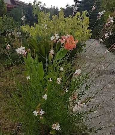 Nar Villa Datça