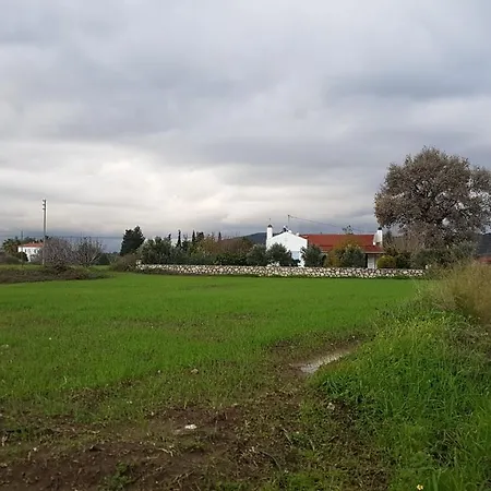 Nar Villa